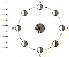 读月相成因示意图,回答问题