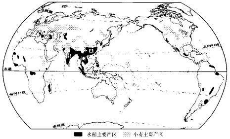 世界水稻种植业分布图