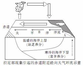 拉尼娜现象厄尔尼诺厄尔尼诺现象简图拉尼娜厄尔尼诺现象和拉尼娜