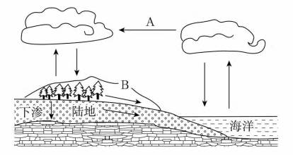 读"水循环示意"图,完成下列内容