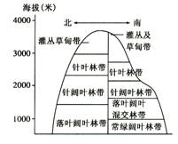 我国东部某山地垂直自然带谱如图所示.该山的南北坡都